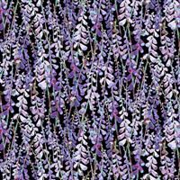 Down in the Woods- Lupine Texture- Black
